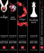 Twilight books